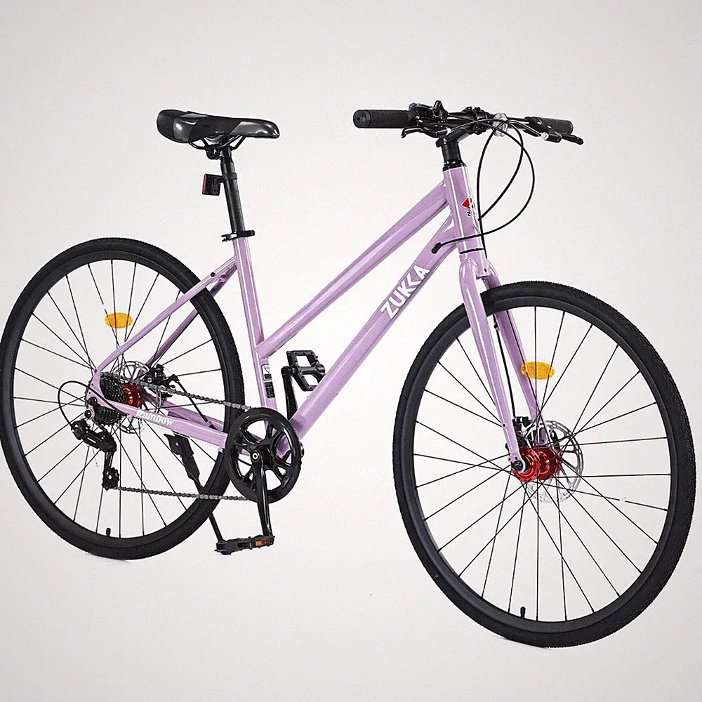 MEGHNA 700C Road Hybrid Bike,Commuting Cycle for Women Female,7 Speeds