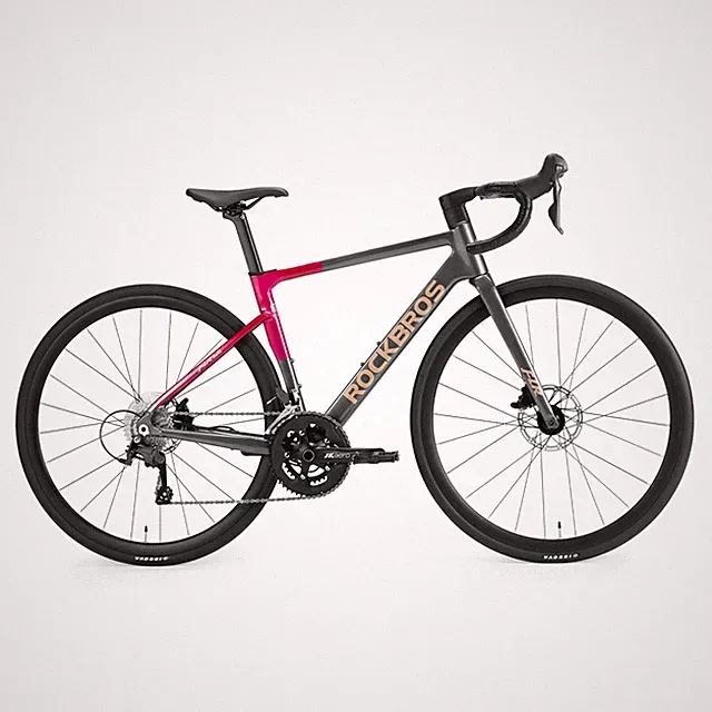 ROCKBROS FLR-W3 700C Road Bike 20-Speed Aluminum Frame Disc Brake Racing Bicycle